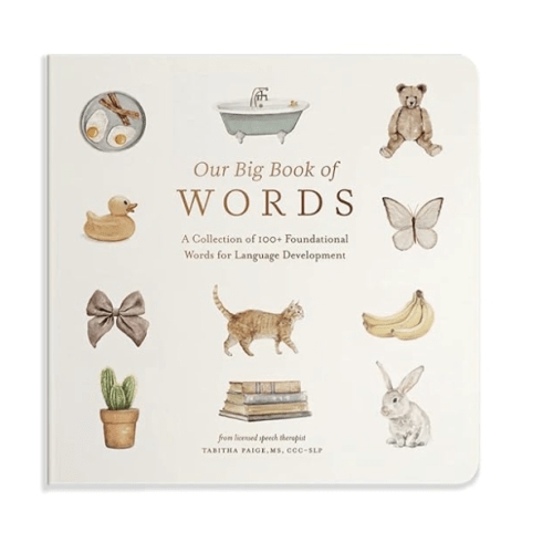 Our Big Book of First Words: A Collection of 100+ Foundational Words for Language Development (Tabitha Paige Children's Book Series)