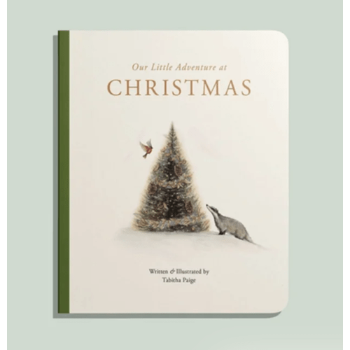 Our Little Adventure at Christmas