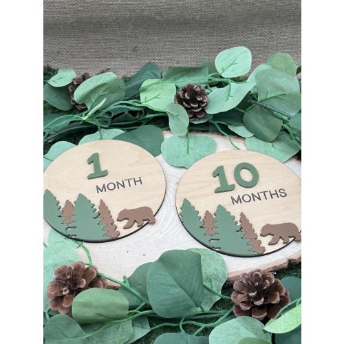 Bear Cub Monthly Milestone Props, Baby Milestone Marker, Bear Cub Baby Shower Gift, Baby's First Year, National Park Milestone Marker