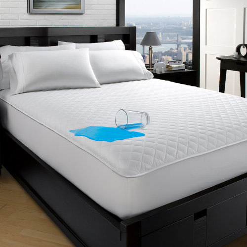 The Twillery Co.® Mona Waterproof & Hypoallergenic Mattress Protector & Reviews | Wayfair