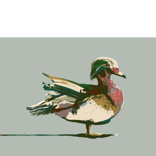 Wood Duck Painting Print