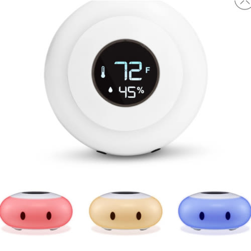 KELVIN - LittleHippo