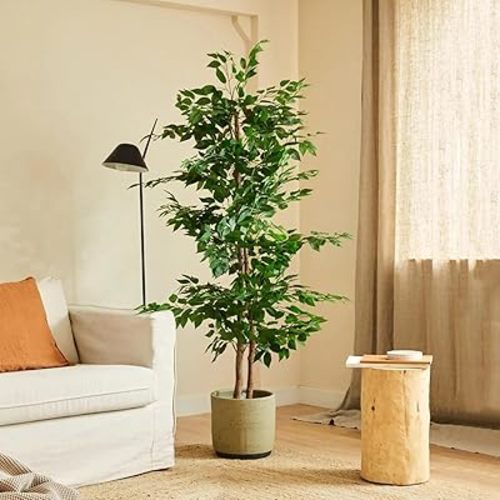 BLAINE | Ficus 59in | Decorative Artificial Plants | Large Artificial Plant | Artificial Plants for Indoor/Outdoor use | Realistic Decorative Artificial Plant for Home