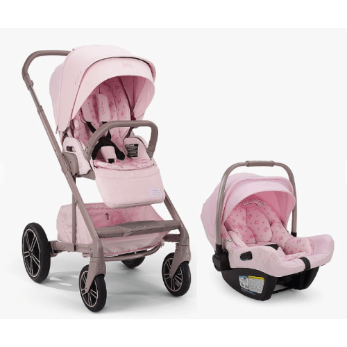 Stroller + Car Seat Cash Fund