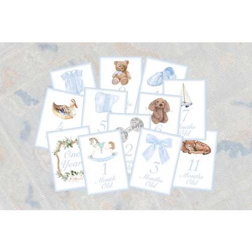 Baby Milestone Cards | Watercolor Boy Monthly Photo Props