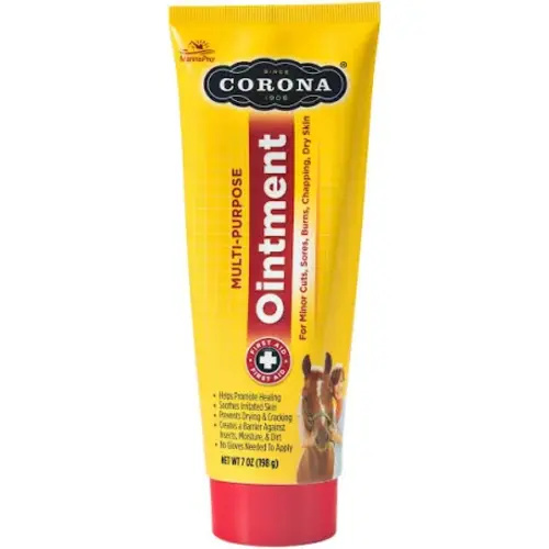 corona cream - Google Search