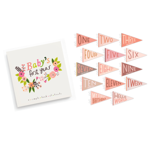Little Artist Memory Baby Book and Blushing Meadow Petit Milestone Pennant Set