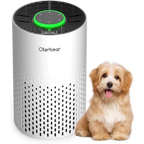 Air Purifiers for Home Bedroom Up to 1250 Ft² - H14 HEPA Air Purifier with Aroma & Sleep Mode - 24dB Small Room Air Purifier for Allergies, Smoke, Dust, Pollen, Pet Dander,4000B,White