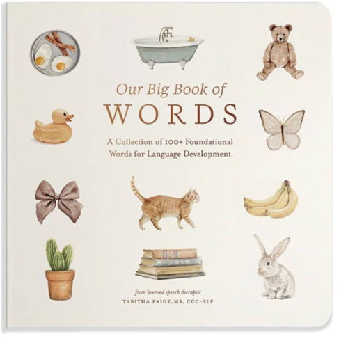 Our Big Book of First Words