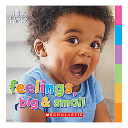 Feelings, Big & Small by Claire Everett | Scholastic Education