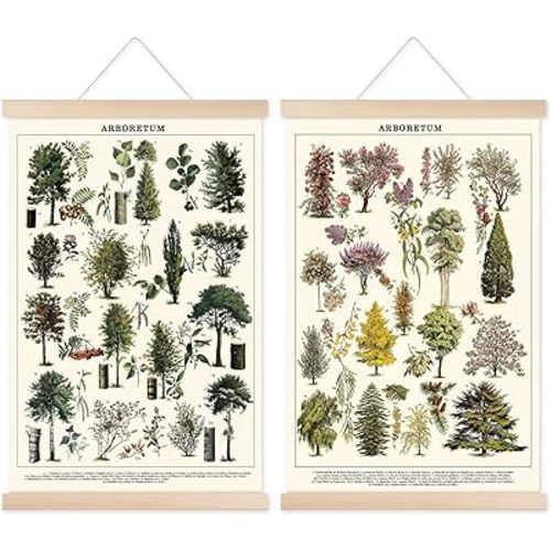 Chenkaiyang Vintage Tree Poster (2 Pcs), Green Tree Wall Art Prints, Rustic Retro Tree Chart, Living Room Decor