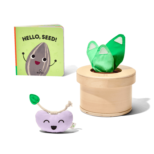 Growing Seeds Tissue Box Toy | KiwiCo