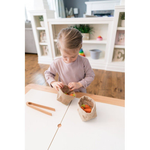 Natural Play Box Montessori Transfer Activity
