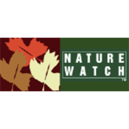 Rain Stick - Natural Musical Instrument | Nature-Watch