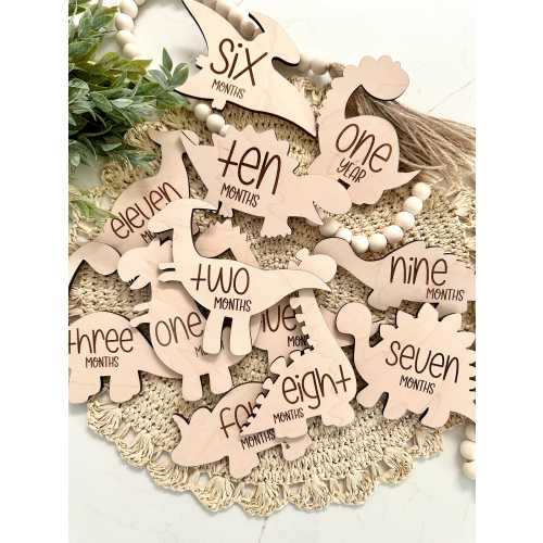 Dino Monthly Milestones, Dinosaur Photo Prop, Gifts for babies, Babyshower Gift, Baby Monthly Dinosaur Milestones, Newborn photo prop