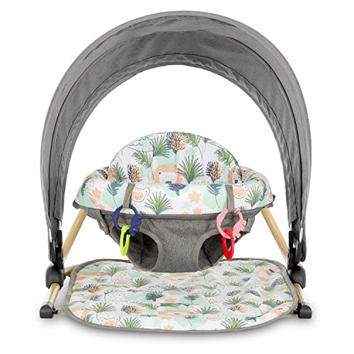 Dream On Me Snug N' Play Floor Seat and Canopy, Lion Head