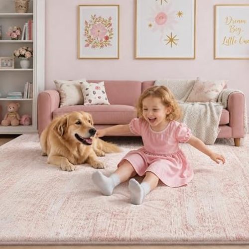 Soft Thick Plush Bounce-Back 5x7 Pink Area Rugs for Living Room