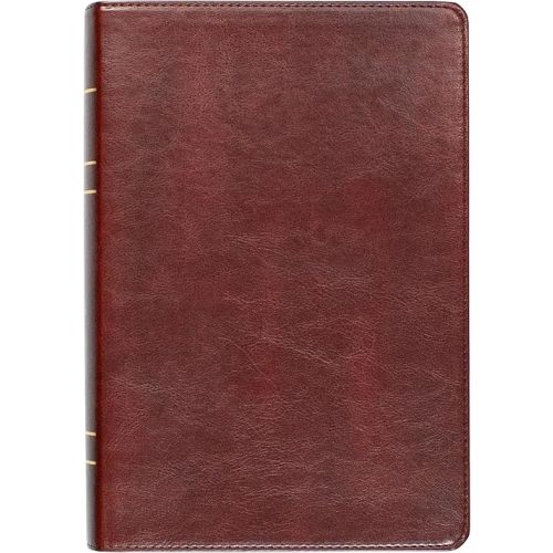 LSB Holy Bible, Large Print, Reddish-Brown Imitation Leather: Legacy Standard Bible in a Single-Column, Wide-Margin, Lay-Flat, Red Letter with 2 Ribbon Markers, 40 GSM Paper & Gold Gilded Pages Leather Bound – Large Print, March 14, 2022