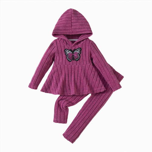 Gvdentm Baby Girl Clothes 3 Months Fall Winter Outfits Infant Girl Sweatshirt Top 6 9 12 18 24 Months 2T 3T Pants Set(Hot Pink,18-24 Months)