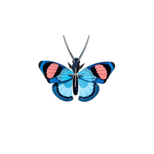 Peacock Butterfly - Studio ROOF