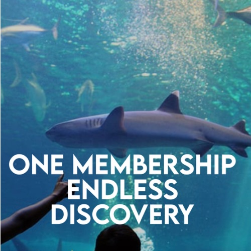 Membership - Maui Ocean Center
