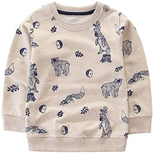 Bumeex Toddler Boy's Kids Crewneck Pullover Sweatshirts 2-7Year