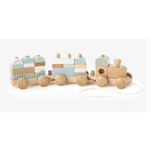 Wooden Push Toy Train