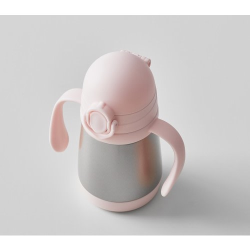 Grow With Me Stainless Steel Sippy Cup - Blush