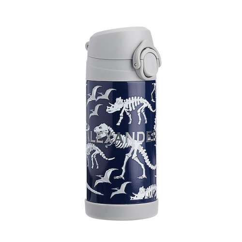 Mackenzie Blue/Gray Glow-in-the-Dark Dinos Water Bottles