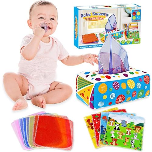 Baby Toys 6-12 Months: Baby Tissue Box 6 Month Old Montessori Toy