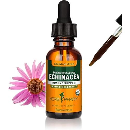 Herb Pharm Organic Echinacea Root Extract, Alcohol-Free: Immune System Support for All Seasons, Fast-Acting Echinacea Plant Supplement, Non-GMO, Vegan & Gluten-Free, 1 Oz