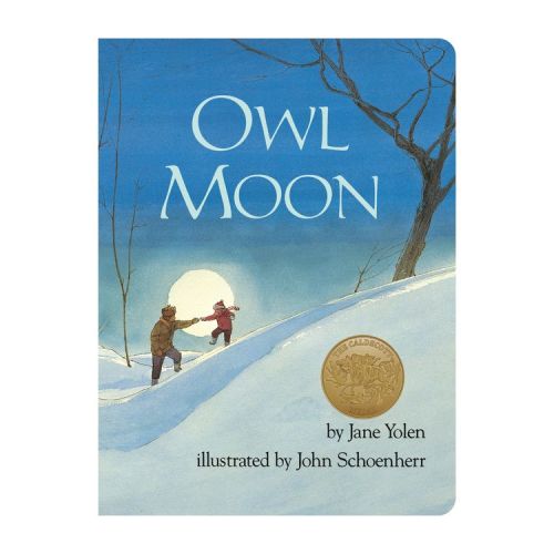 Owl Moon - by Jane Yolen (Board Book)
