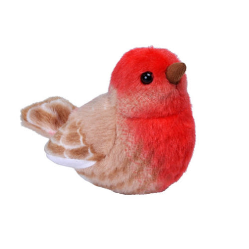 Audubon Bird: House Finch with Bird Call