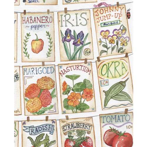 Seed Packet Alphabet - 11x14" Watercolor Print, Garden ABCs, Farmer or Gardener Gift, Nursery Art, Classroom Decor, Plants From A to Z