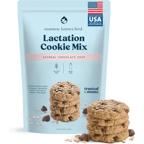 Lactation Cookies Mix - Gluten Free and Dairy Free Oatmeal Breastfeeding Cookie Supplement Support for Breast Milk Supply Increase (Chocolate Chip, 1 Pound)