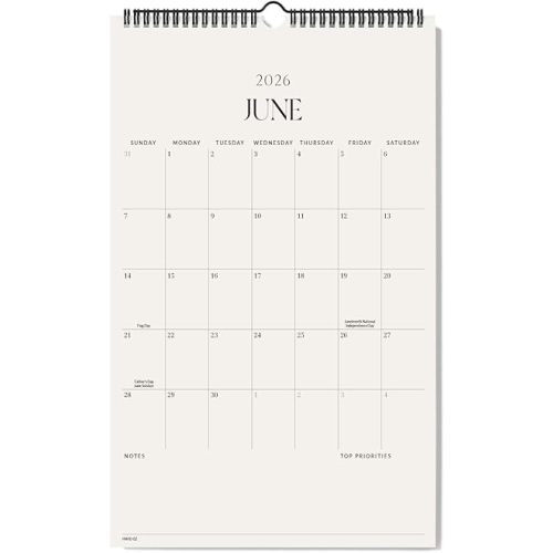 Jotsome Wall Calendar 2026-2027, Large Monthly Wall Calendar From Now to June 2027 11x17 inch for Home and Office, Easy Planning, Gift for the Holidays