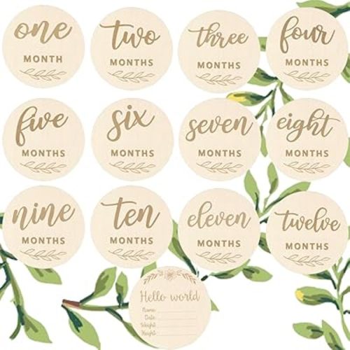 Wooden Baby Monthly Milestones for Newborn Baby,1-12 Months Baby Announcement Discs, Pregnancy Baby Shower Gifts (Double-Sided Plant Milestone)