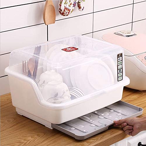 Tomorotec Medium Size Dish Drying Rack & Drain Board with Lid Cover, White | Kitchen Counter Drainer with Dust-Proof Clear Cover, Detachable Design with Utensil Holder, Plate Cup Tray Cutlery Drainer