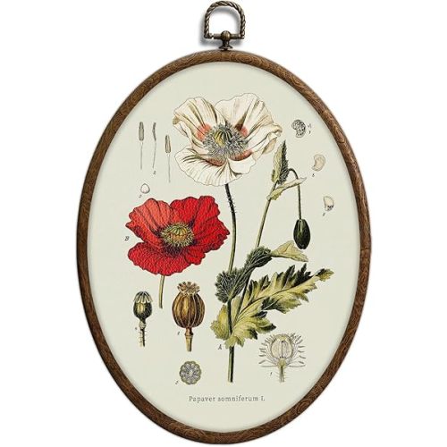Vintage Boho Floral Oval Wall Art, Vintage Floral Botanical Oval Framed Wall Art, Waterproof Cottage Core Home Decor for Western Farmhouse Bedroom Living Room, Home Retro Decor Products, 07
