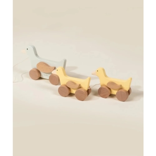 Wooden Duck Family Pull Toy