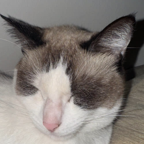 Birth and Postpartum Support