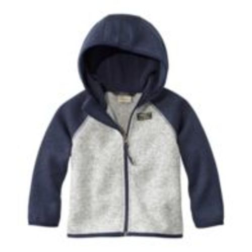 Infants' and Toddlers' L.L.Bean Sweater Fleece, Hooded Colorblock