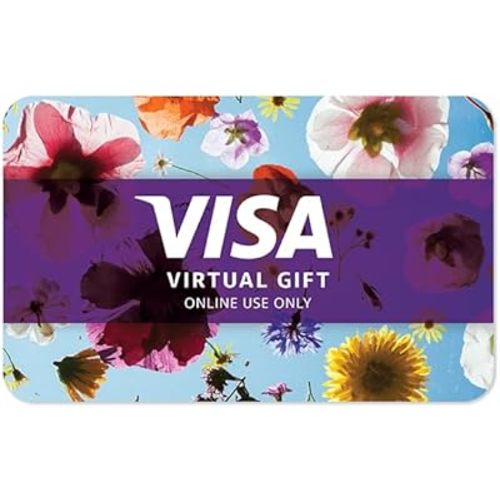 Visa Virtual $25 eGift Card (plus $3.95 Purchase Fee) - For Online Use Only