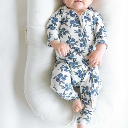 Blueberry Baby Zip Romper Outfit Long Sleeve One Piece Romper