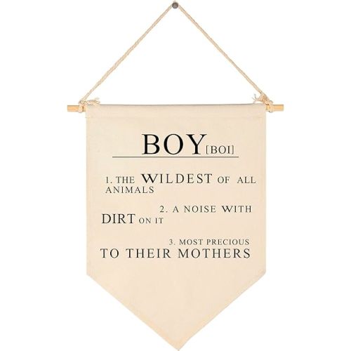 Boy the Wildest of All Animals,A Noise with Dirt On It-Canvas Hanging Pennant Flag Wall Sign Decor Gift for Baby Kids Nursery,Kids Room Playroom Decor- Boy's Pronunciation and Definition Meaning