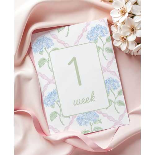 Baby Milestone Cards Digital Baby Month Cards Girl Hydrangea Floral Design Digital Download Template for Baby Girl Month Cards New Baby Card