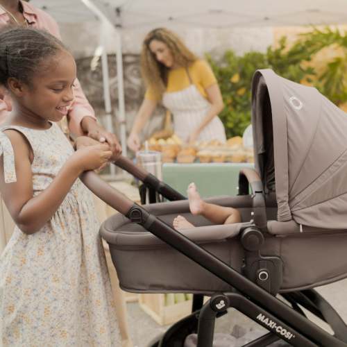 Maxi-Cosi Tayla™ Max Modular Stroller in Desert Wonder