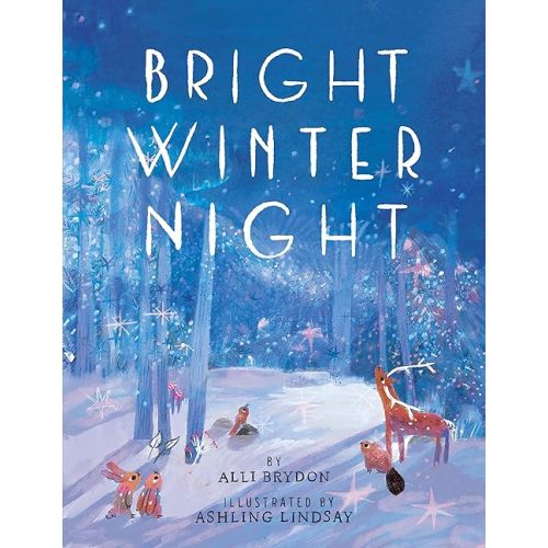 Bright Winter Night Hardcover – Picture Book, December 1, 2022