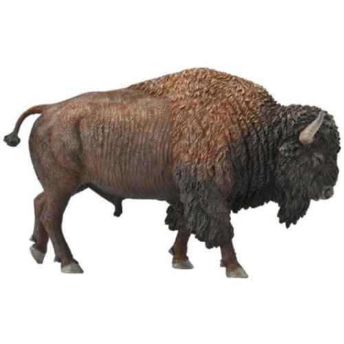 CollectA American Bison #88968 - Nice Broad Shouldered Model