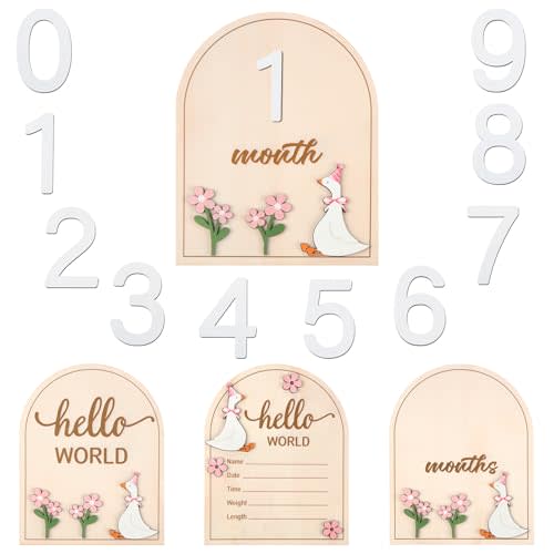 Colingmill 2 Pcs Monthly Baby Milestone Signs Cards with Pink Bow Wooden Coquette Discs Newborn Photography Props to Document Your Baby's Growth 1-12 Newborn Gift for Girl and Boy(Silly Goose)